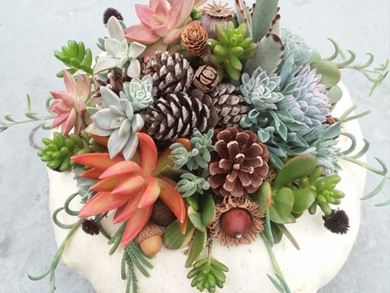 Букет в тыкве