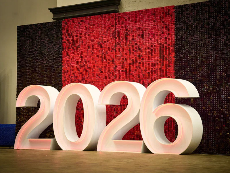 Фотозона 2026 с пайетками