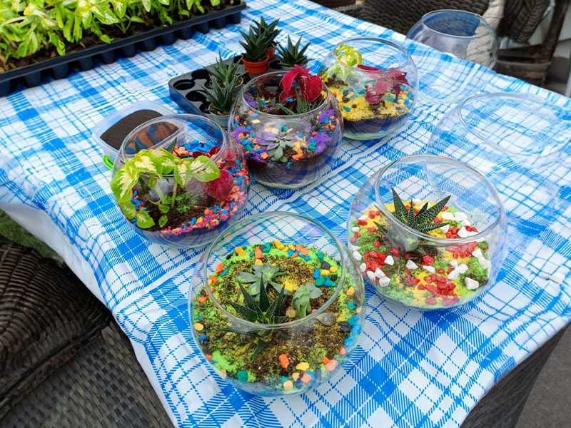 Мастер-класс «Флорариум»