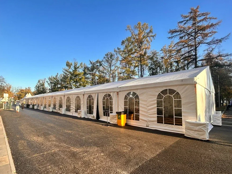 Шатер Павильон 10x50