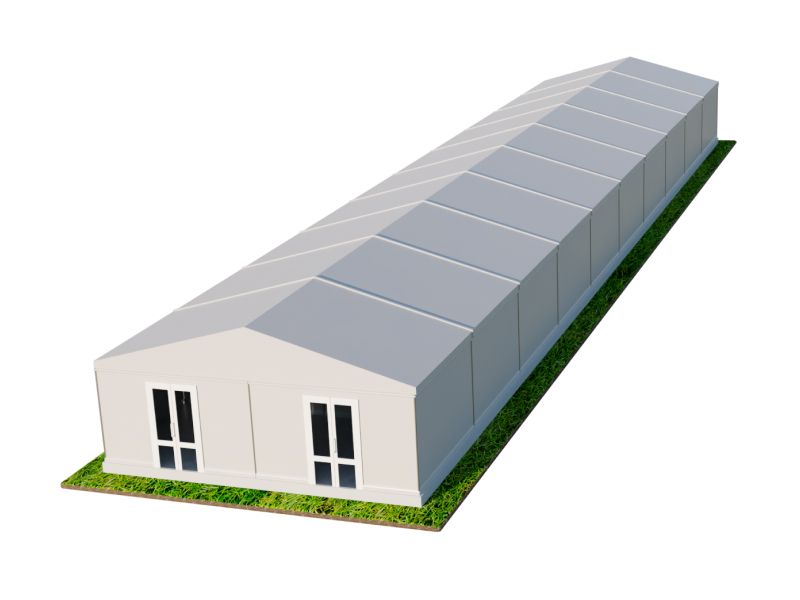 Шатер Павильон 10x50