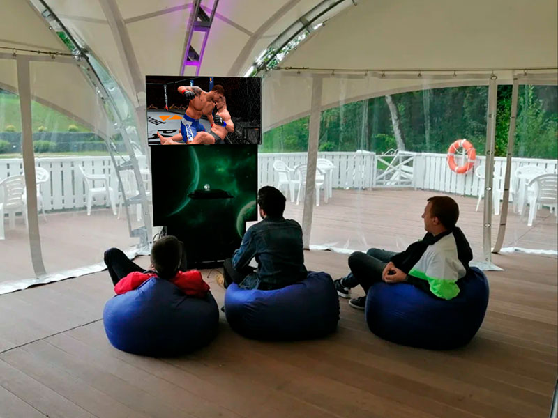 Видеоигра Fighting