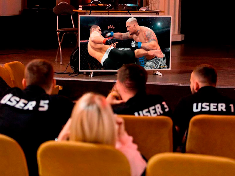 Видеоигра Fighting